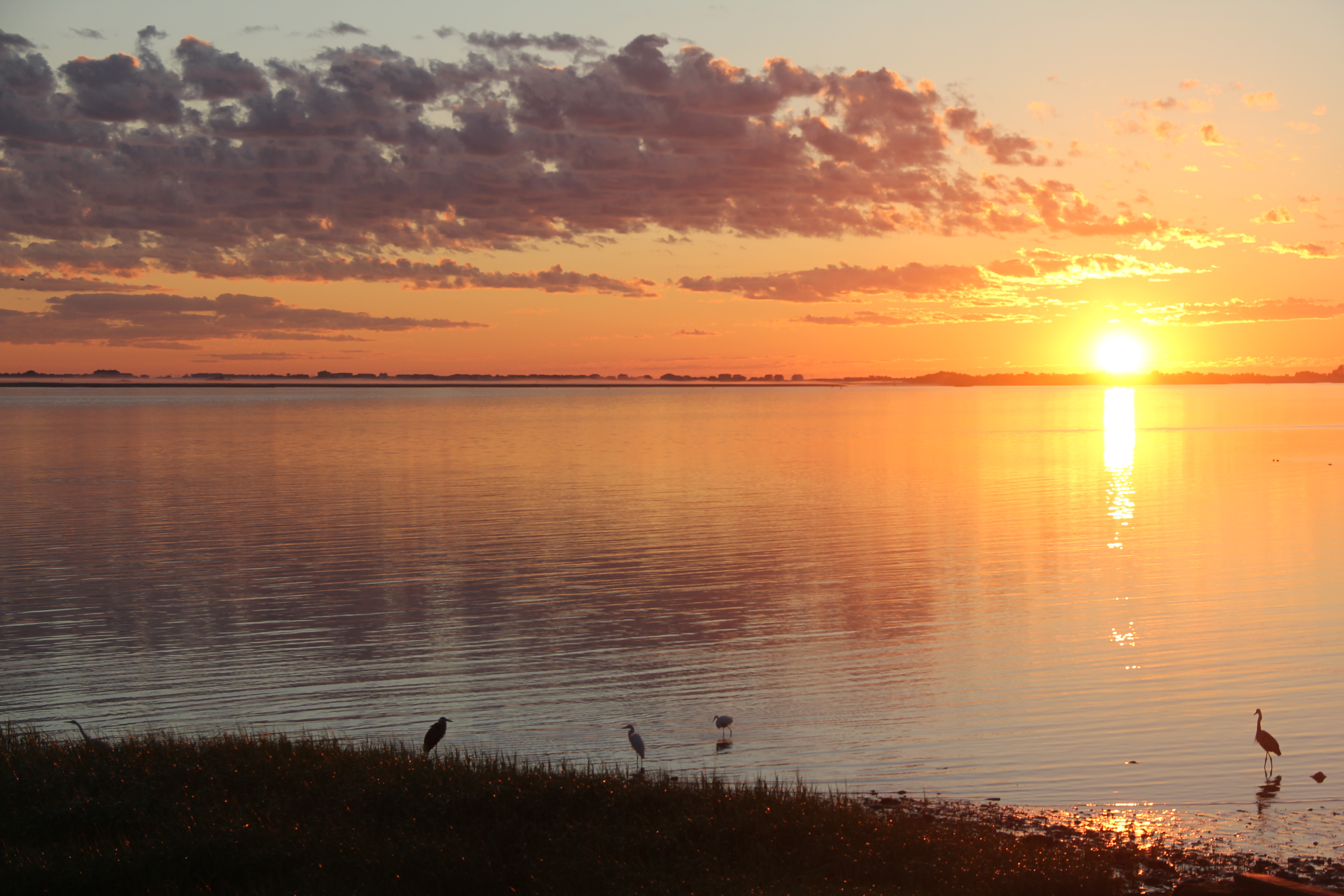 Sunrise Over the North Atlantic Shoreline