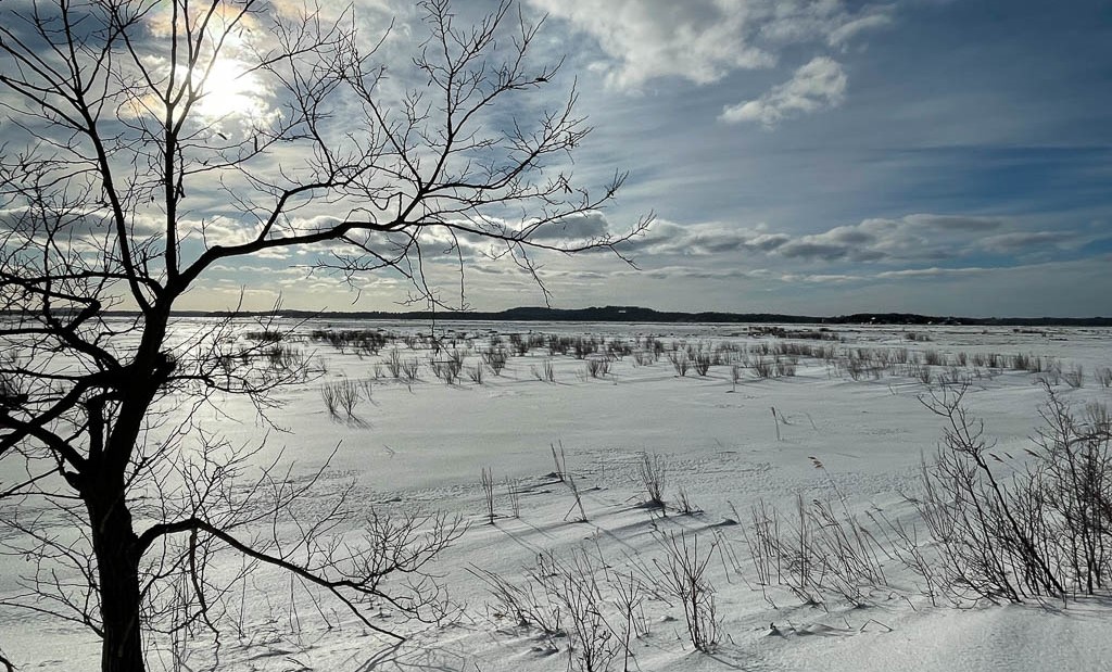 Parker River National Wildlife Refuge - Winter